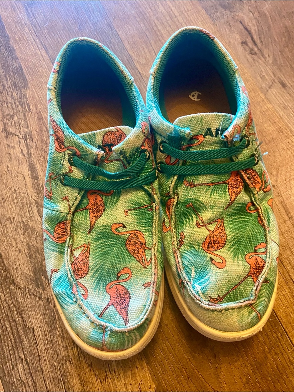 Ariat Kids Flamingo Print Canvas Sneakers in Teal and Pink